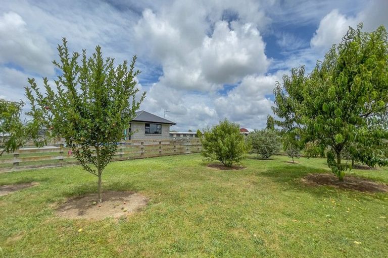 Photo of property in 14 Beatty Road, Matamata, 3400