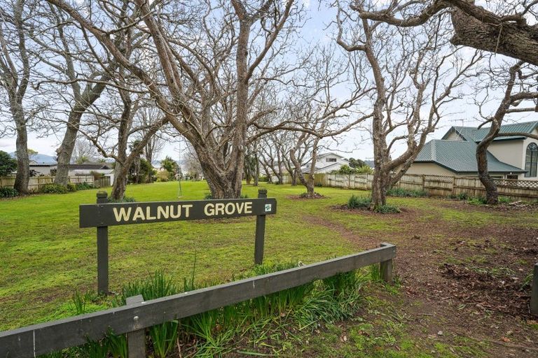 Photo of property in 6 Walnut Grove, Omokoroa, 3114
