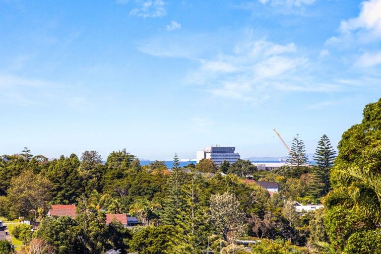 Photo of property in 137 Eban Avenue, Hillcrest, Auckland, 0627