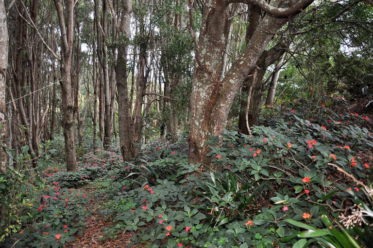 Photo of property in 26 Muncaster Road, Snells Beach, 0920