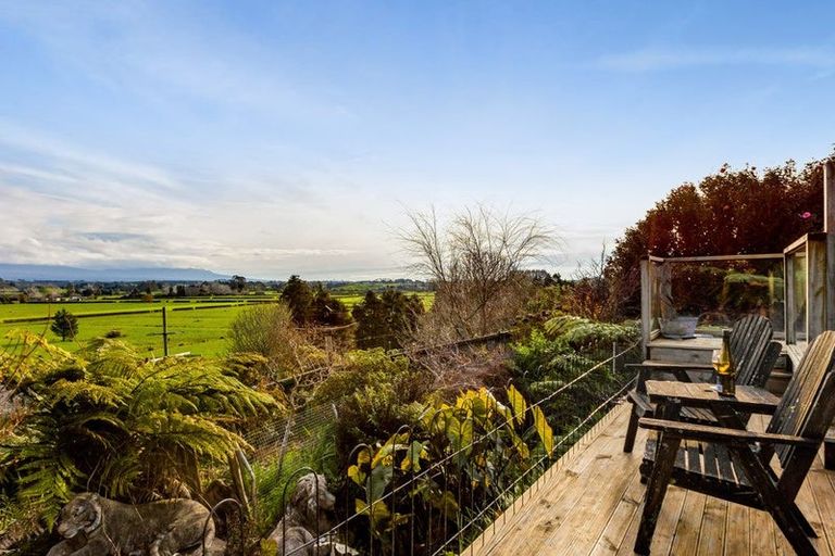 Photo of property in 638 Tariki Road, Ratapiko, Inglewood, 4390