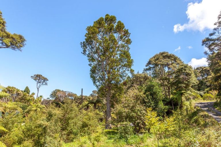 Photo of property in 480 Driving Creek Road, Coromandel, 3506