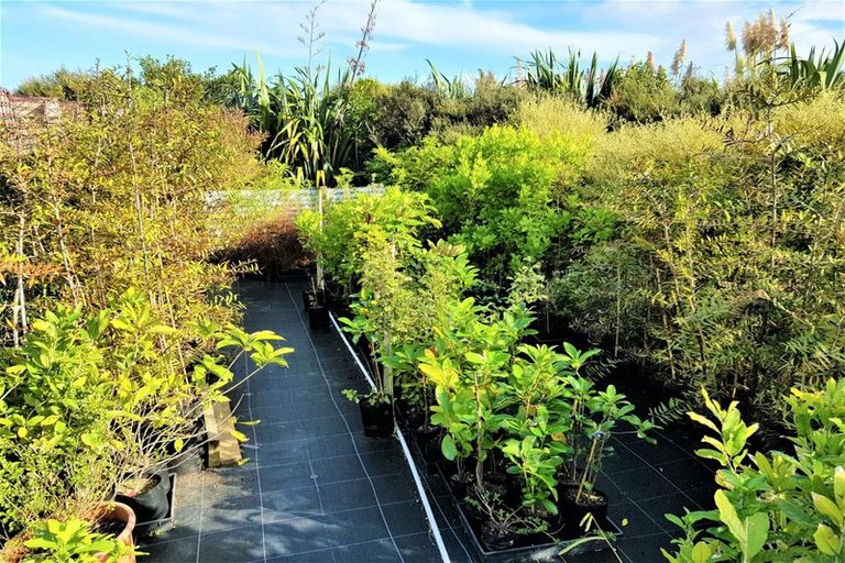 Photo of property in 1246 Babylon Coast Road, Omamari, Dargaville, 0373