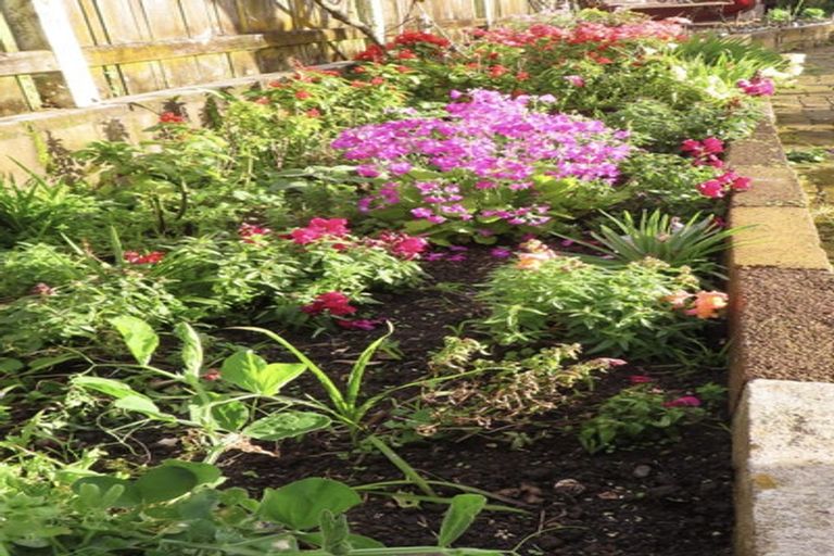 Photo of property in 66 Flynn Road, Hillcrest, Hamilton, 3216