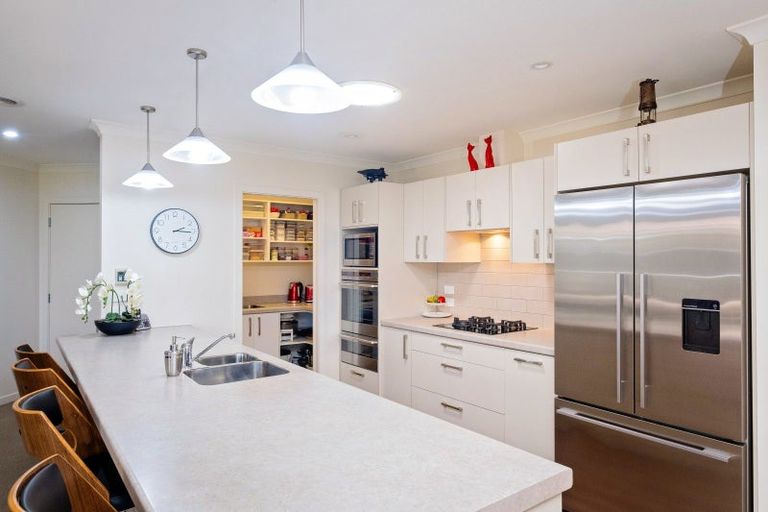 Photo of property in 15 Lochhead Street, Mahora, Hastings, 4120