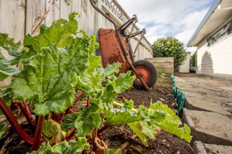 Photo of property in 3 Brookfield Place, Paraparaumu, 5032