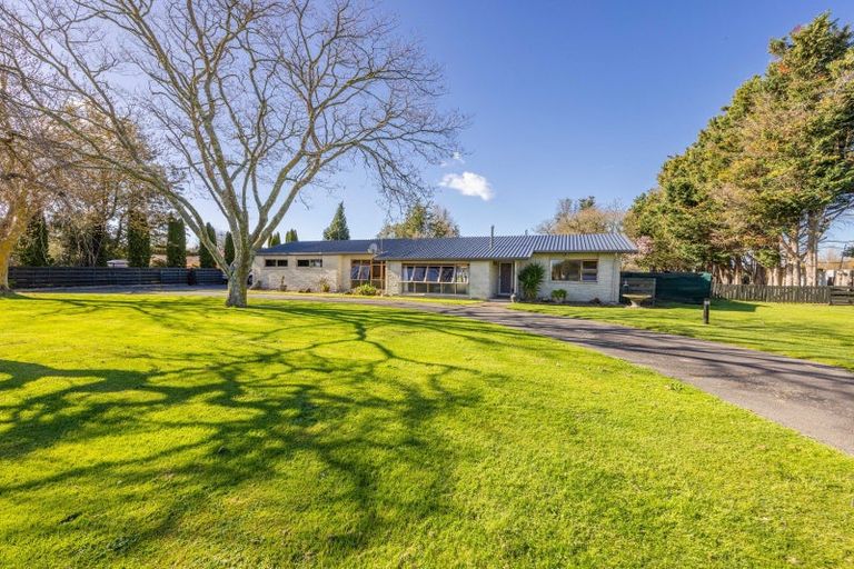 Photo of property in 10 France Road, Longlands, Hastings, 4120