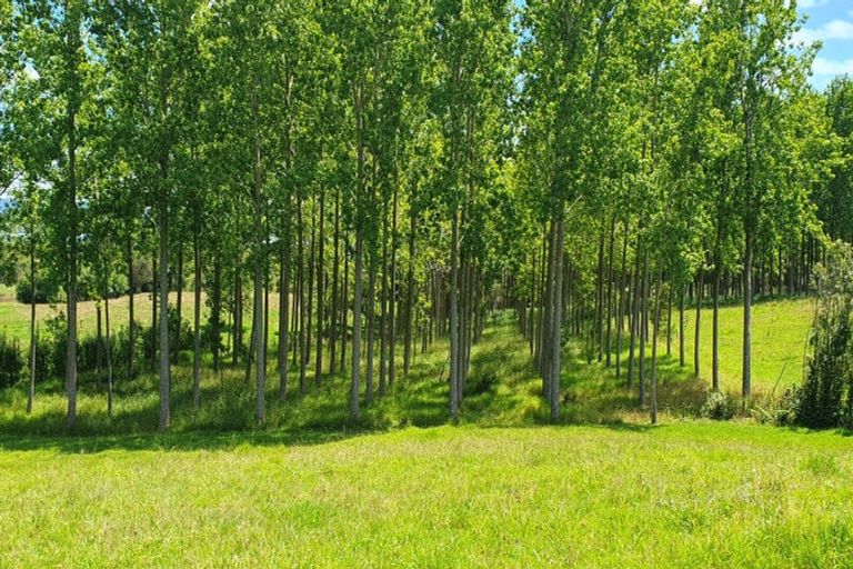 Photo of property in 237 Hewlett Road, Mata, Whangarei, 0171