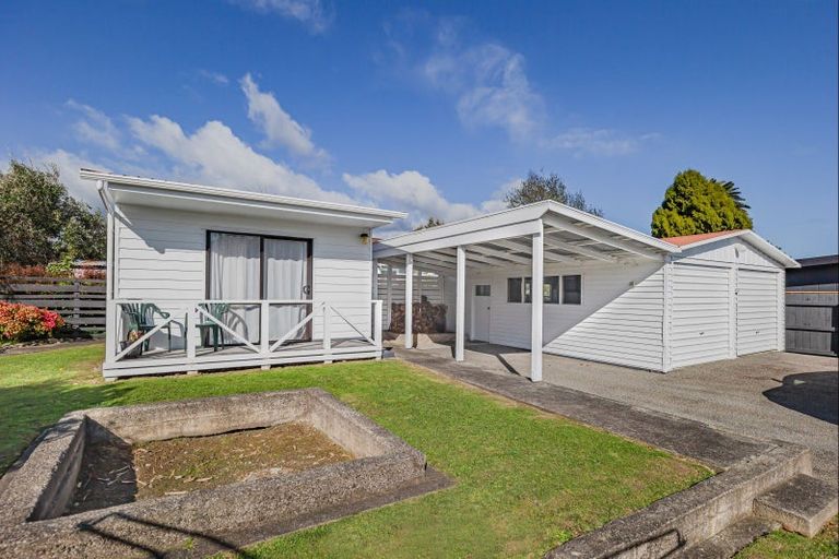Photo of property in 100 Weraroa Road, Levin, 5510