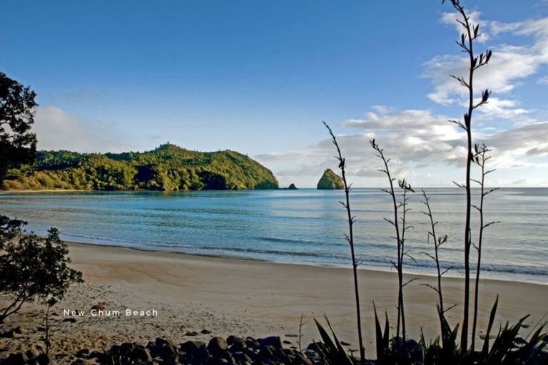 Photo of property in 128 Adams Road, Whangapoua, Coromandel, 3582