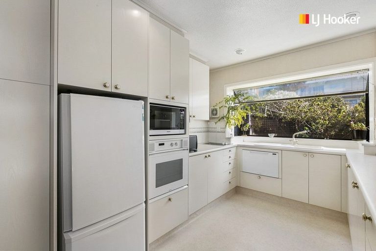Photo of property in 23c Sheen Street, Roslyn, Dunedin, 9010