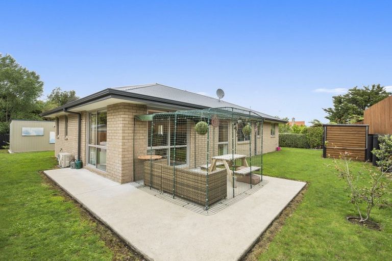 Photo of property in 98b Tirau Street, Putaruru, 3411