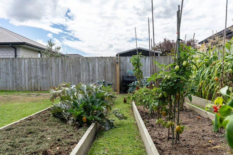 Photo of property in 224 Cumberland Drive, Flagstaff, Hamilton, 3210