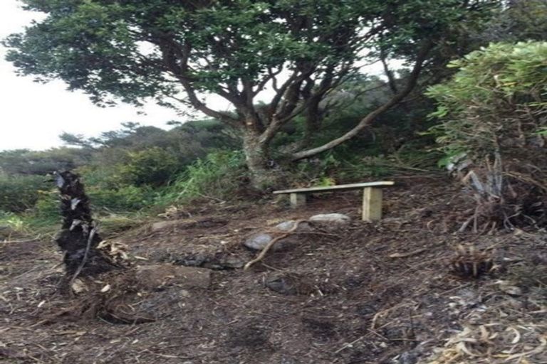 Photo of property in 14 Pacific Drive, Tairua, 3508