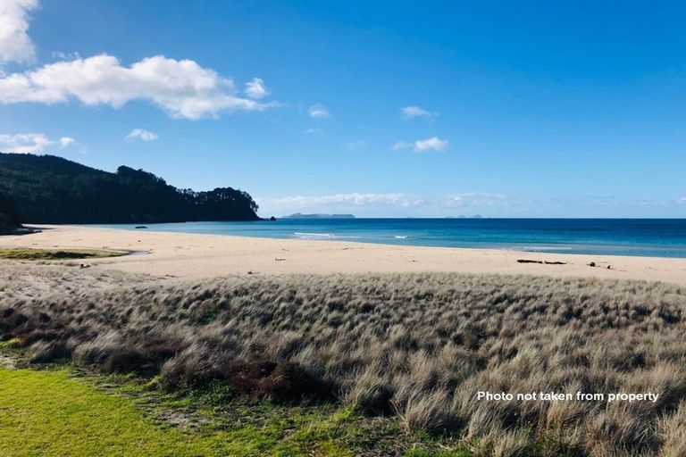 Photo of property in 203 Onemana Drive, Onemana, Whangamata, 3691