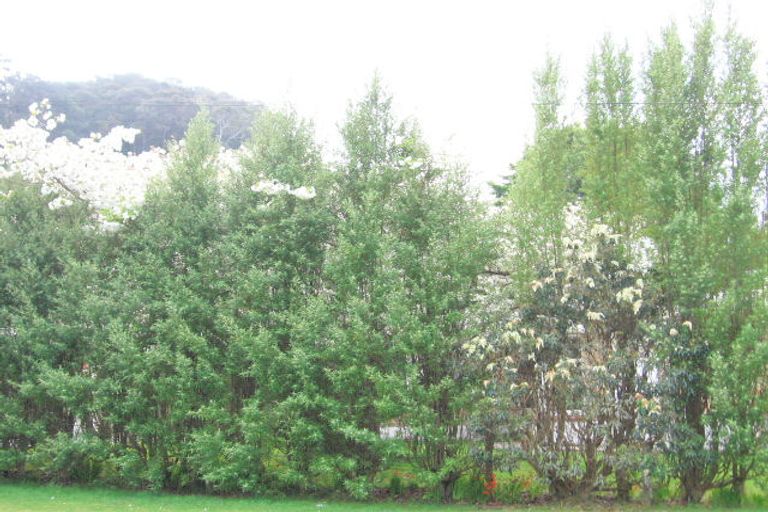 Photo of property in 61 Fairview Road, Western Heights, Rotorua, 3015