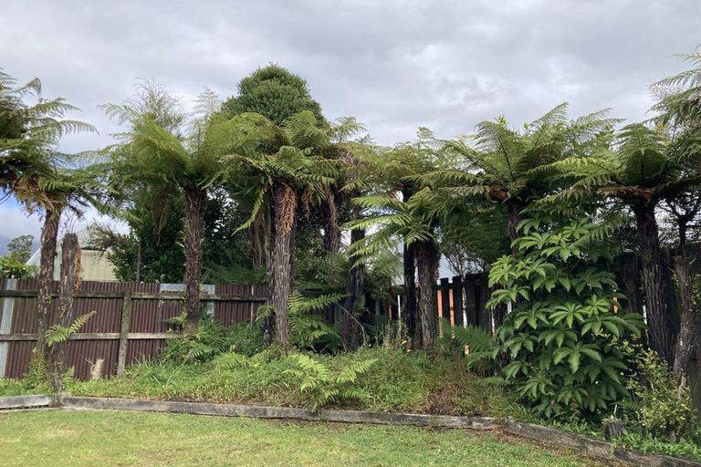 Photo of property in 3/6 Pauareka Road, Haast, 7886