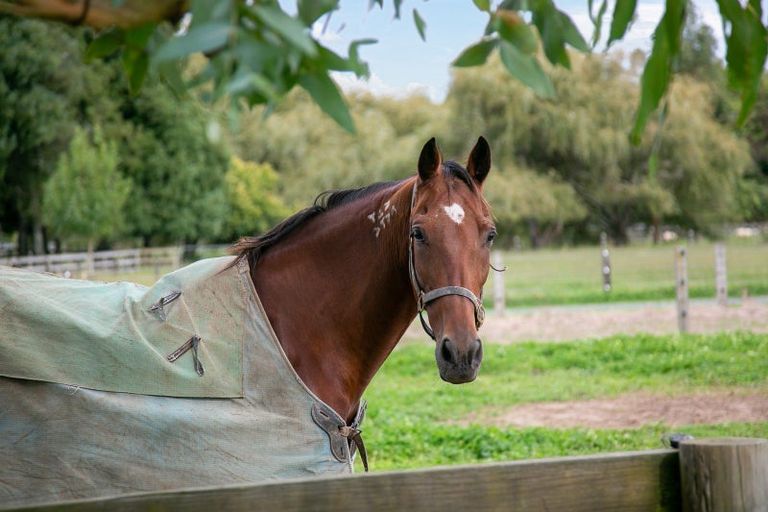 Photo of property in 724b Bruntwood Road, Tamahere, Hamilton, 3283