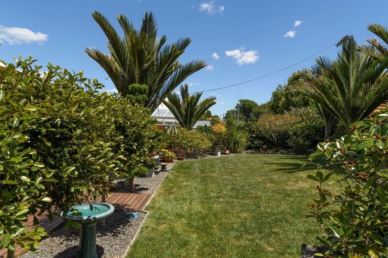 Photo of property in 19 Briarley Street, Tauranga South, Tauranga, 3112