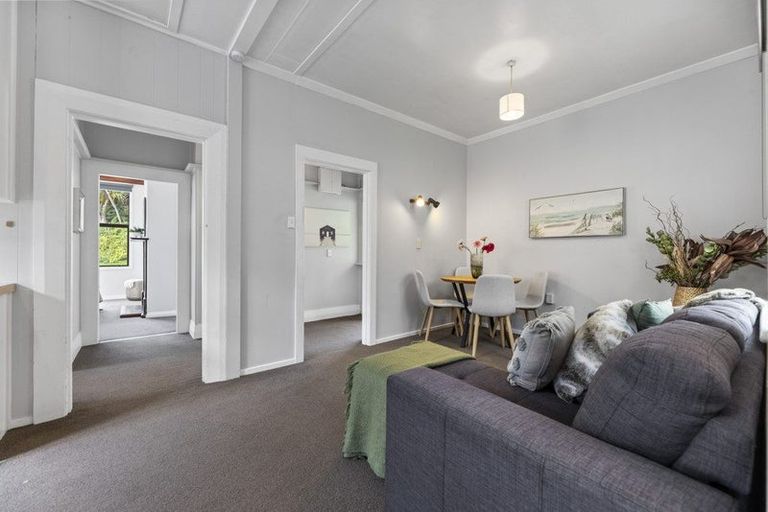 Photo of property in 51 Somerville Street, Andersons Bay, Dunedin, 9013