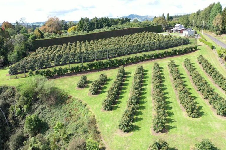 Photo of property in 14 Merrick Road, Pyes Pa, Tauranga, 3173