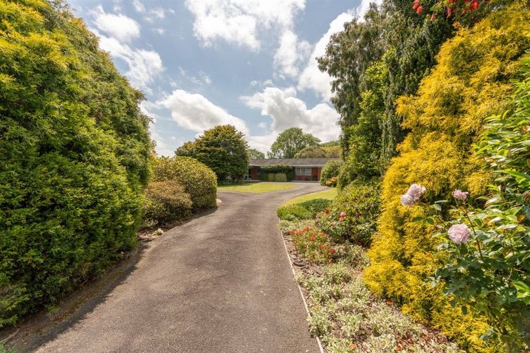 Photo of property in 282 Marshmeadow Road, Newstead, Hamilton, 3286