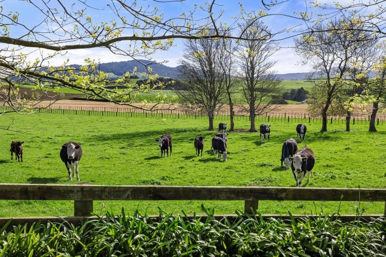 Photo of property in 563b Matai Road, Matamata, 3472