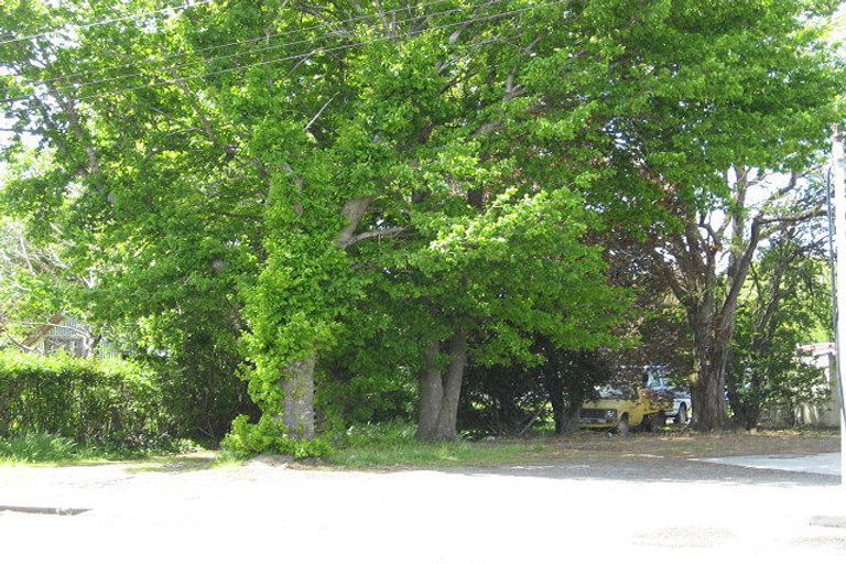 Photo of property in 16 Buckley Street, Cheviot, 7310