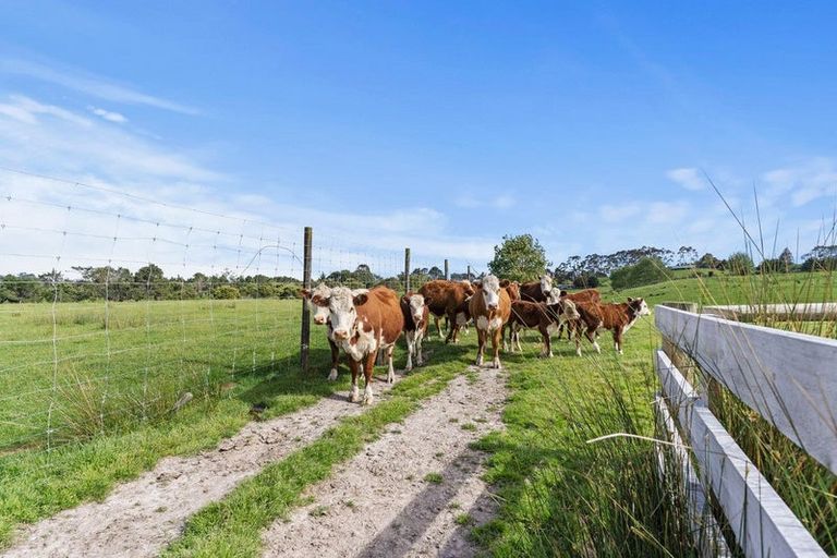 Photo of property in 132b Gatfield Road, Kaukapakapa, 0873