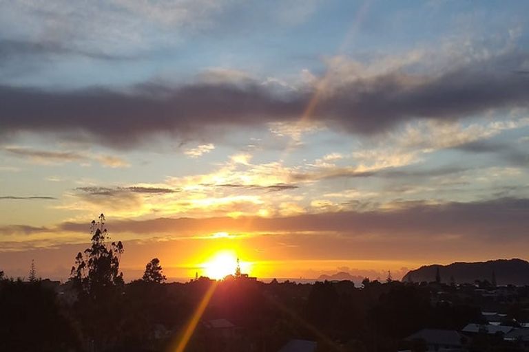 Photo of property in 317 Main Sh25 Road, Tairua, 3508