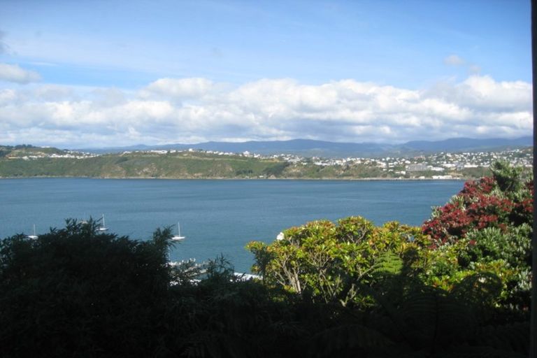 Photo of property in 53a View Road, Henderson, Auckland, 0612