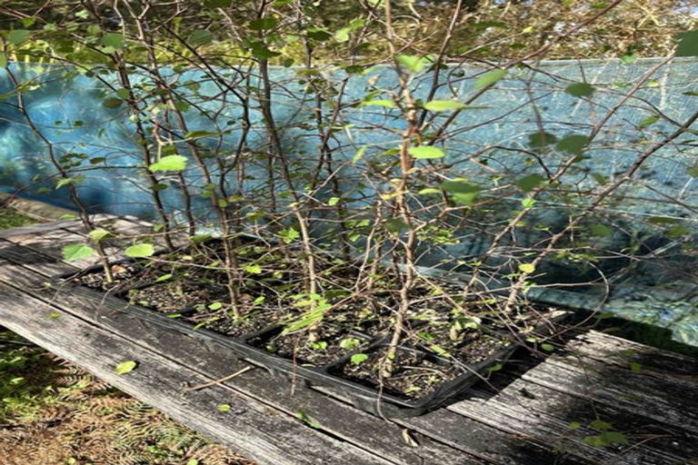 Photo of property in 200 Tawa Road, Kumeu, 0891