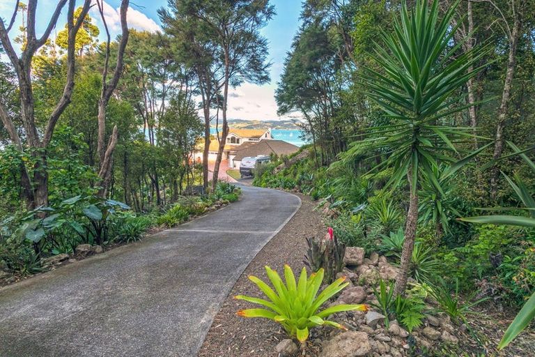 Photo of property in 1275 Wyuna Bay Road, Wyuna Bay, Coromandel, 3581