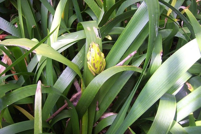 Photo of property in 104b Duncan Road, Tamahere, Hamilton, 3283