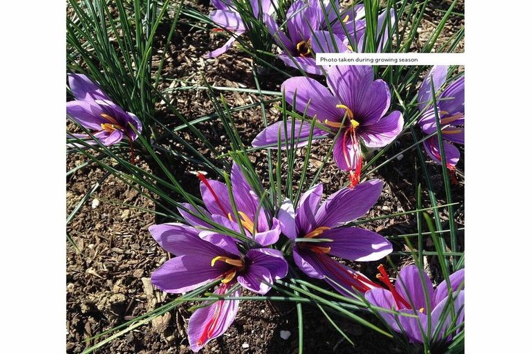 Photo of property in 741 Poyntzs Road, Eyrewell, Rangiora, 7476