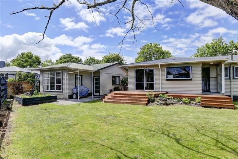 Photo of property in 31 Gillies Avenue, Claudelands, Hamilton, 3214