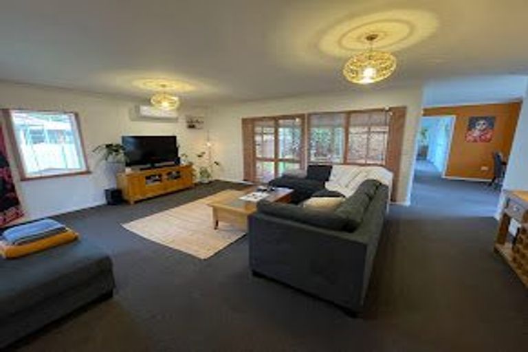 Photo of property in 103a Clarkin Road, Fairfield, Hamilton, 3214