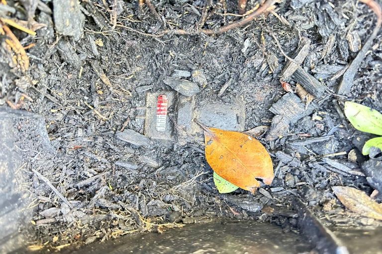 Photo of property in 60 Hewlett Road, Massey, Auckland, 0614