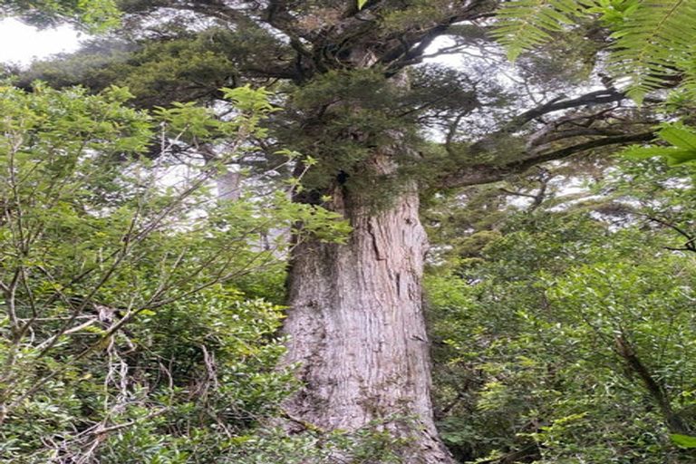 Photo of property in 744 Rameka Creek Road, East Takaka, Takaka, 7183