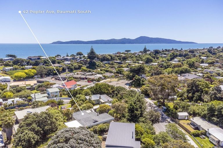 Photo of property in 42 Poplar Avenue, Raumati South, Paraparaumu, 5032