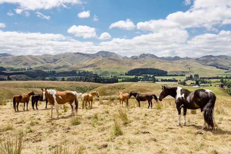 Photo of property in 67 Macraes Road, Waynes, Palmerston, 9483