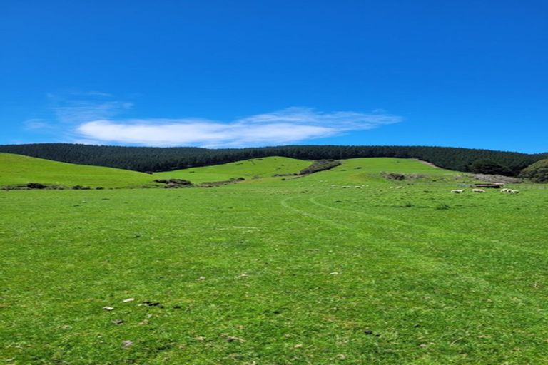 Photo of property in 990 Waihola Highway, Waihola, Outram, 9073