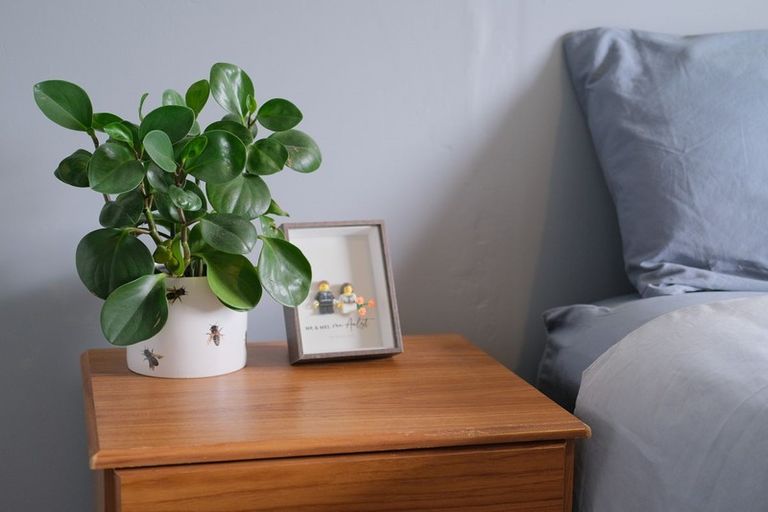 Photo of property in 45 North Taieri Road, Abbotsford, Dunedin, 9018