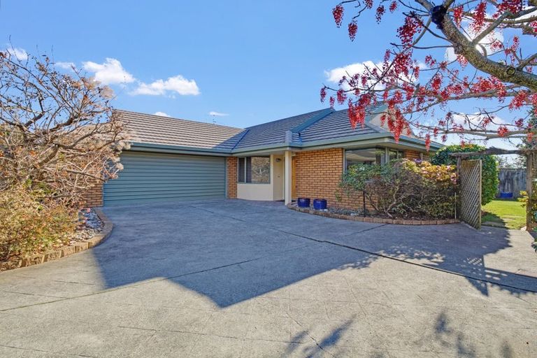 Photo of property in 8 Idesia Grove, Richmond, 7020
