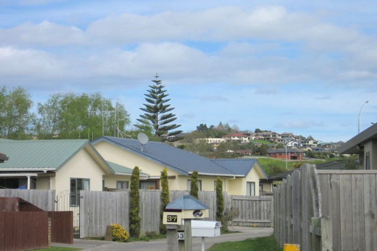 Photo of property in 43 Solomon Street, Brookfield, Tauranga, 3110