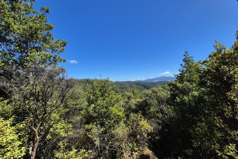 Photo of property in 795 Tuateawa Road, Waikawau, Coromandel, 3584