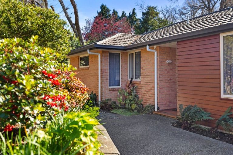 Photo of property in 11/17 Simmonds Grove, Greerton, Tauranga, 3112