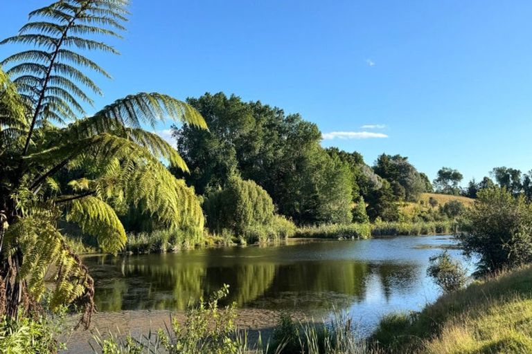 Photo of property in 70 Te Whanga Road, Levin, 5572