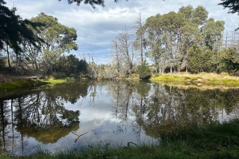 Photo of property in 253 Mount Lyford Forest Drive, Lyford, Waiau, 7395