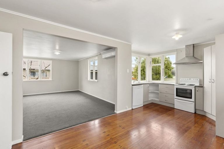 Photo of property in 124 Clarkin Road, Fairfield, Hamilton, 3214